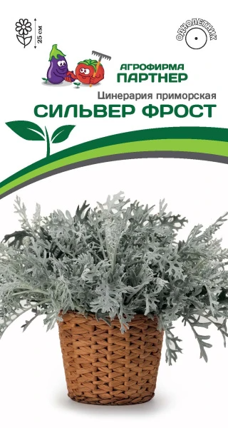 Партнер Цинерария Приморская СИЛЬВЕР ФРОСТ^(15шт в амп)