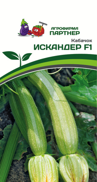 Партнер Кабачок ИСКАНДЕР F1 ^(5шт), изображение 0
