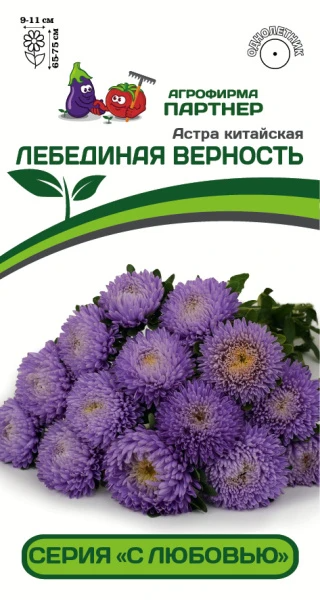 Партнер Астра китайская ЛЕБЕДИНАЯ ВЕРНОСТЬ ^(5шт в амп), изображение 0