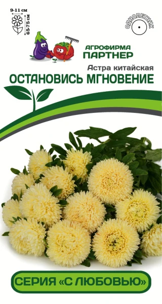 Партнер Астра китайская ОСТАНОВИСЬ МГНОВЕНИЕ ^(5шт в амп), изображение 0