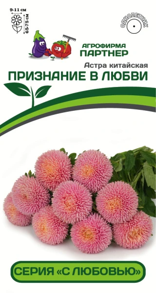 Партнер Астра китайская ПРИЗНАНИЕ В ЛЮБВИ (5шт в амп), изображение 0