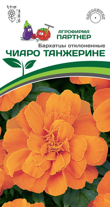 Партнер Бархатцы отклоненные ЧИАРО ТАНЖЕРИНЕ^(10шт), изображение 0