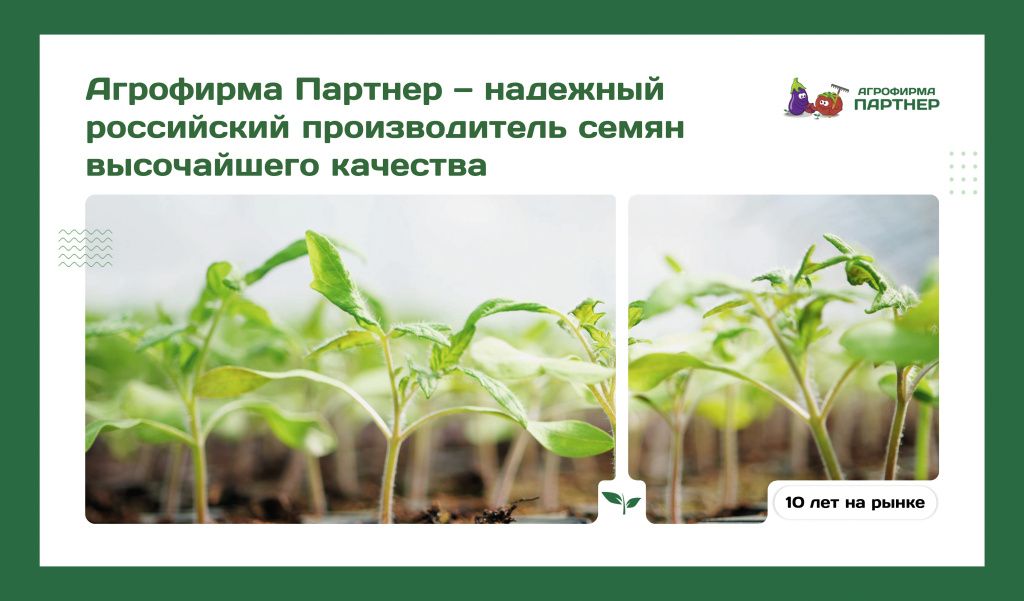 Презентация производствоV7_итог-1